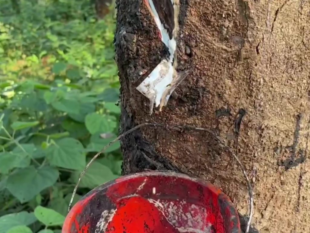 ¿Cómo se hacen las bandas elásticas? El vídeo de la producción se vuelve viral