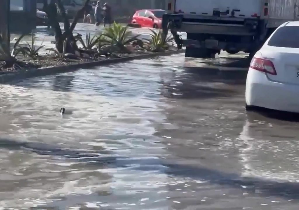 Micro tsunami investono la California: ordinata l'evacuazione della costa