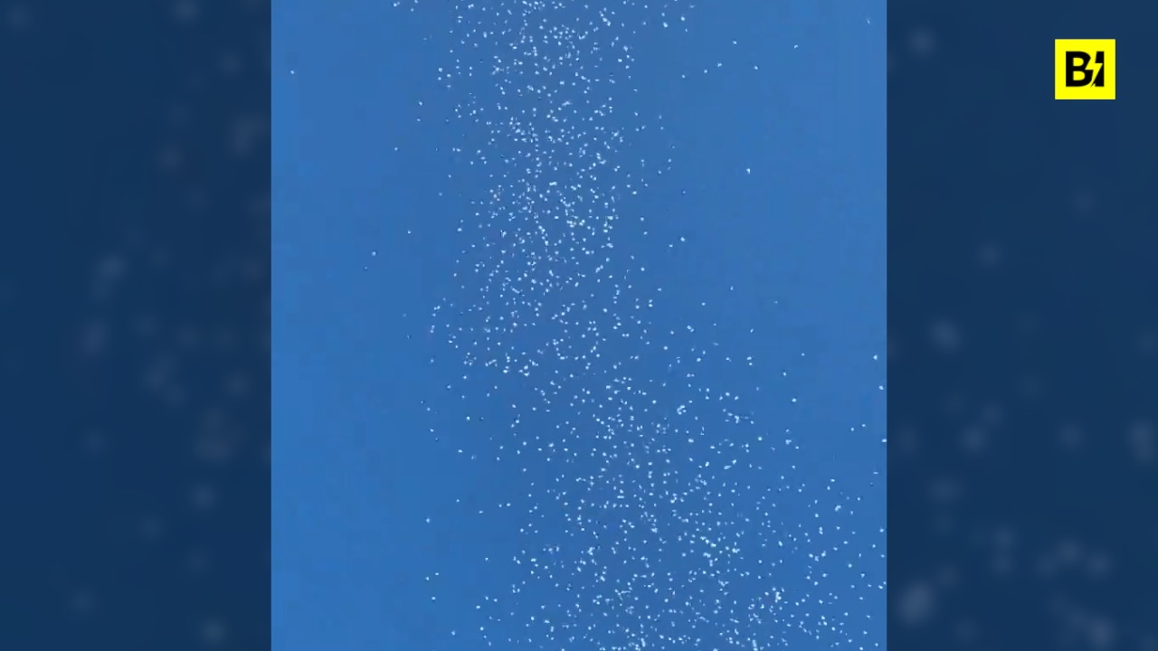 Guerra en Gaza, así insta Israel a los civiles…