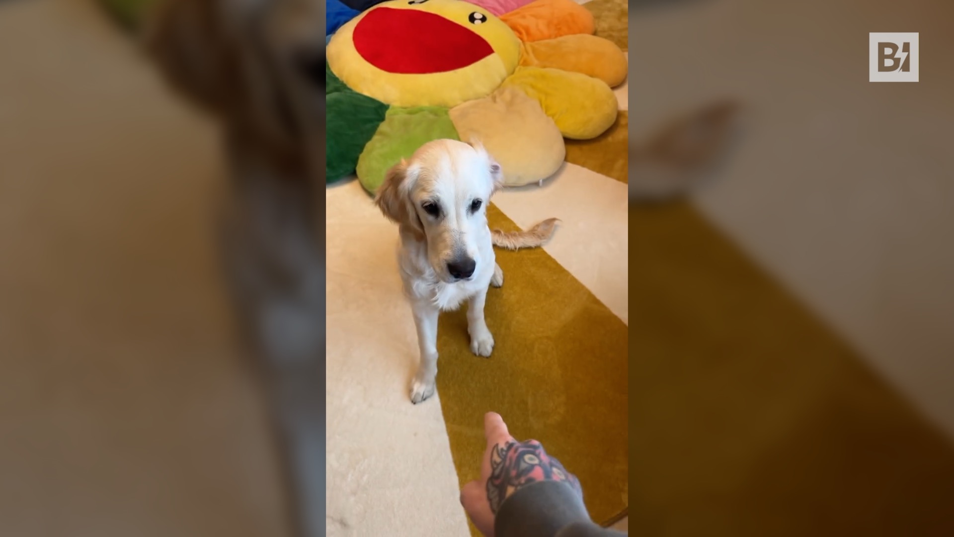 Fedez torna sui social: “Mi tradisce”