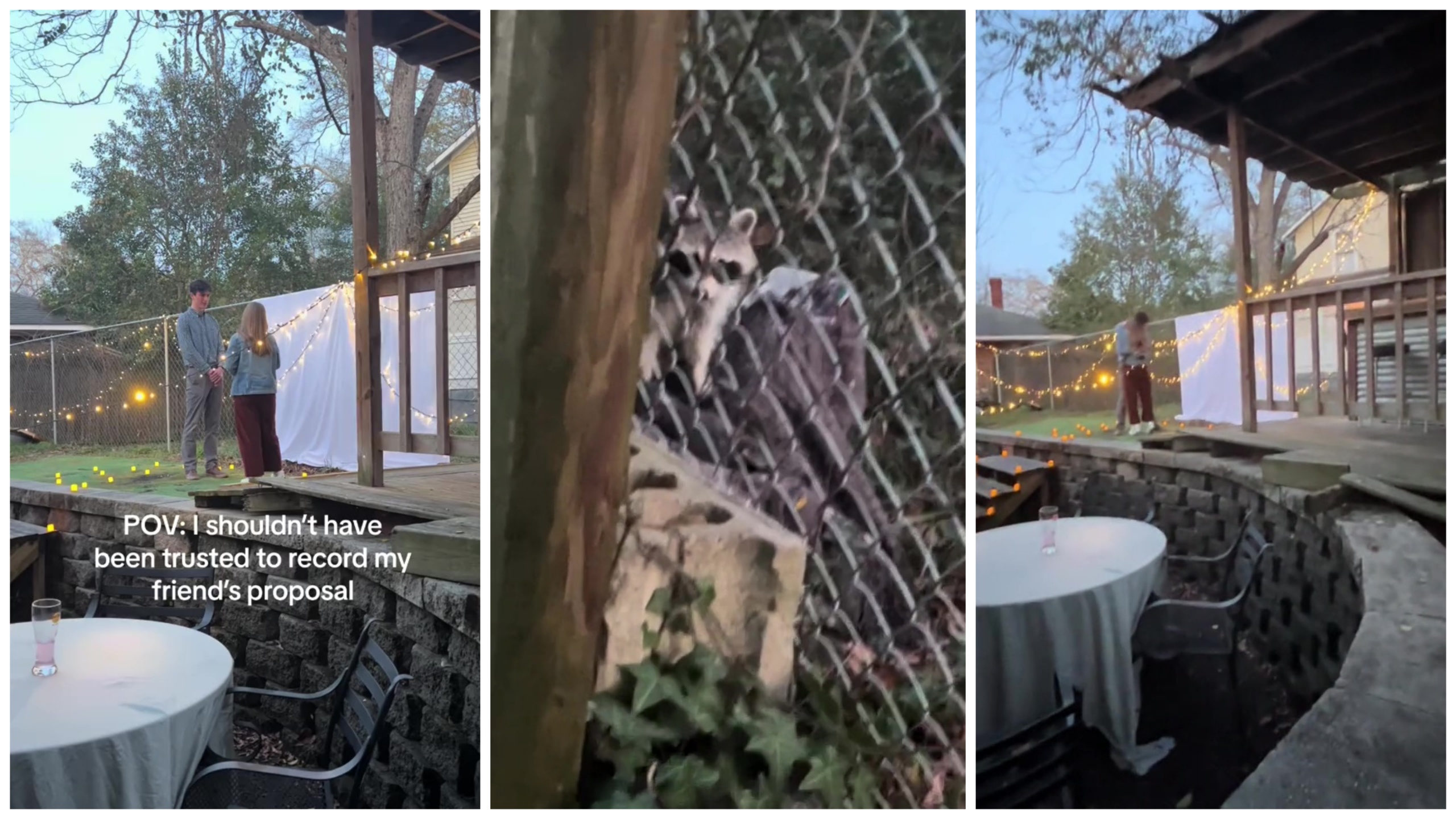 : l'esilarante video