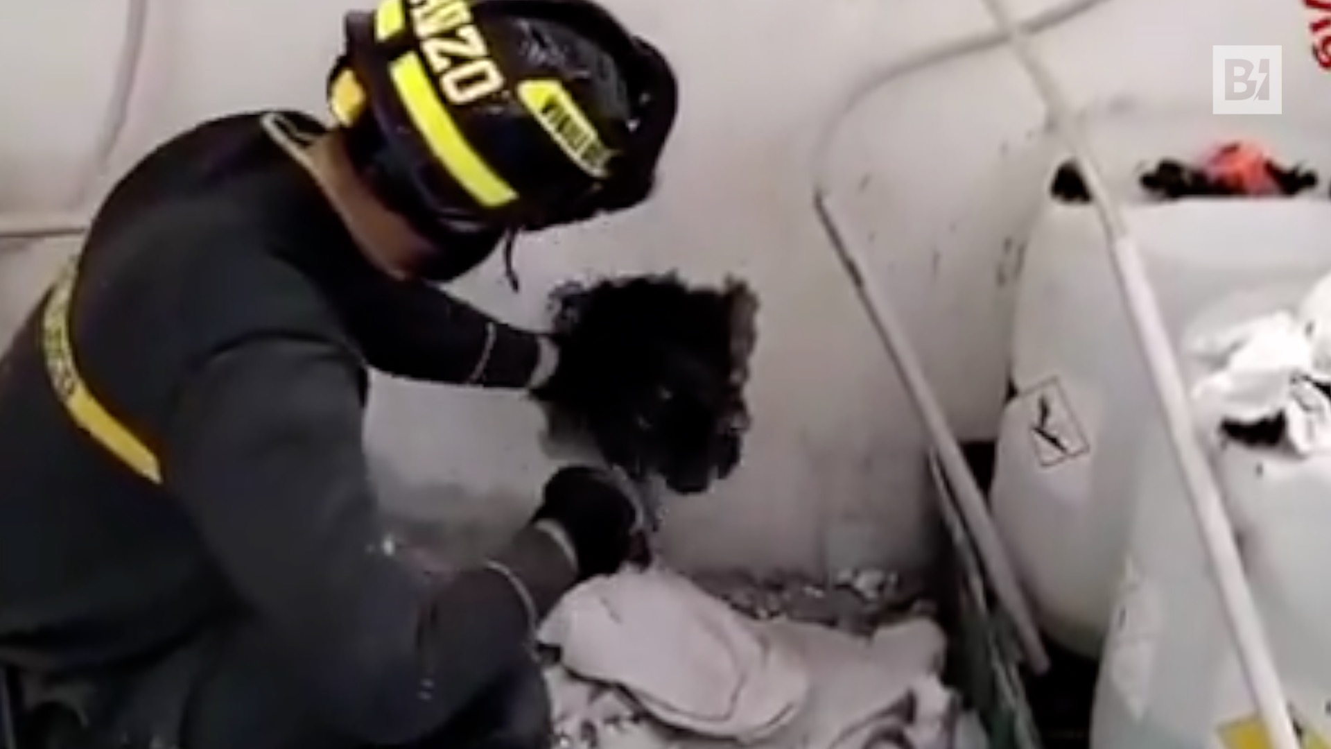 Resta incastrato in un’intercapedine nel muro, gatto liberato…