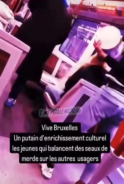 Un aspirant YouTubeur jette des seaux de crottes sur les passants : arrêté