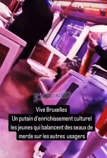 Un aspirant YouTubeur jette des seaux de crottes sur les passants : arrêté