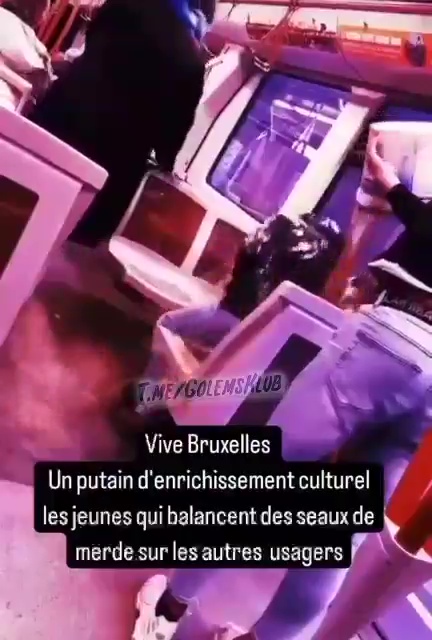 Un aspirant YouTubeur jette des seaux de crottes sur les passants : arrêté