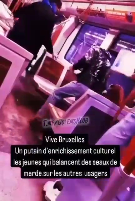 Un aspirant YouTubeur jette des seaux de crottes sur les passants : arrêté