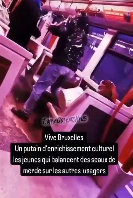 Un aspirant YouTubeur jette des seaux de crottes sur les passants : arrêté