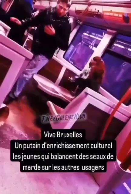 Un aspirant YouTubeur jette des seaux de crottes sur les passants : arrêté