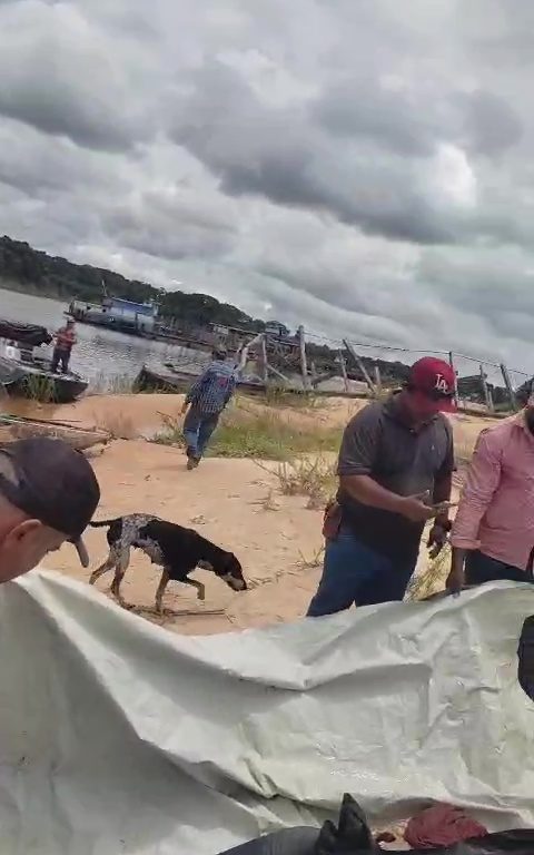 Der Seemann fällt in den Fluss und wird von Piranhas bei lebendigem Leibe beraubt. Er findet das Skelett noch mit Kleidung