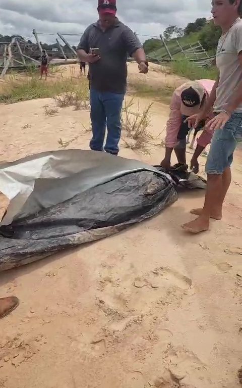 Der Seemann fällt in den Fluss und wird von Piranhas bei lebendigem Leibe beraubt. Er findet das Skelett noch mit Kleidung