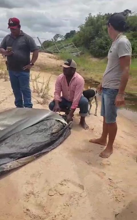 Der Seemann fällt in den Fluss und wird von Piranhas bei lebendigem Leibe beraubt. Er findet das Skelett noch mit Kleidung