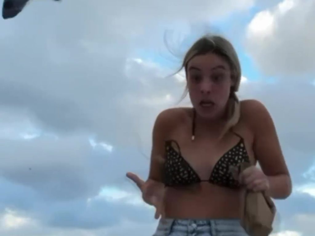 Die Influencerin Lele Pons zieht sich am Strand von einer Möwe aus, die ihren Bikini auszieht