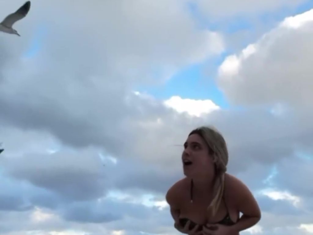 Die Influencerin Lele Pons zieht sich am Strand von einer Möwe aus, die ihren Bikini auszieht