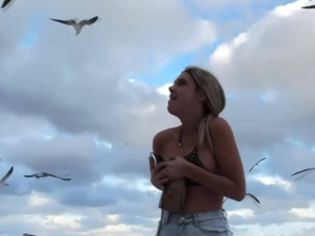 Die Influencerin Lele Pons zieht sich am Strand von einer Möwe aus, die ihren Bikini auszieht