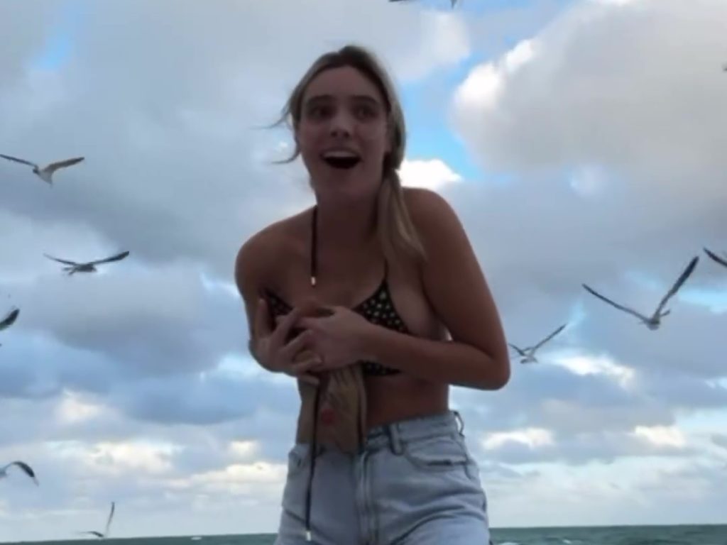 L'influencer Lele Pons spogliata in spiaggia da un gabbiano che le sfila il bikini