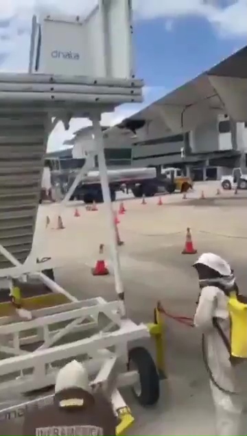 Bienenschwarm hält ein Flugzeug als Geisel: Es bleibt eine Stunde lang auf der Landebahn stehen