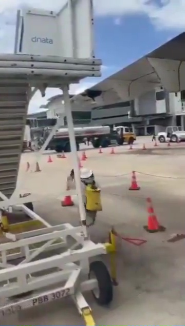 Bienenschwarm hält ein Flugzeug als Geisel: Es bleibt eine Stunde lang auf der Landebahn stehen