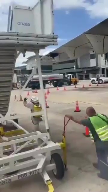 Bienenschwarm hält ein Flugzeug als Geisel: Es bleibt eine Stunde lang auf der Landebahn stehen