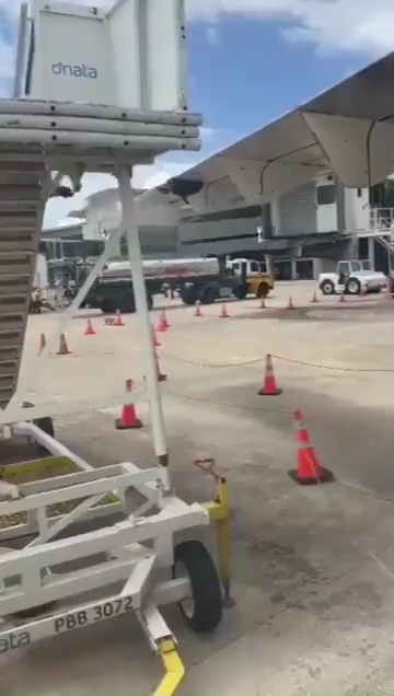 Bienenschwarm hält ein Flugzeug als Geisel: Es bleibt eine Stunde lang auf der Landebahn stehen