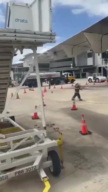 Bienenschwarm hält ein Flugzeug als Geisel: Es bleibt eine Stunde lang auf der Landebahn stehen