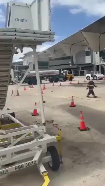 Bienenschwarm hält ein Flugzeug als Geisel: Es bleibt eine Stunde lang auf der Landebahn stehen