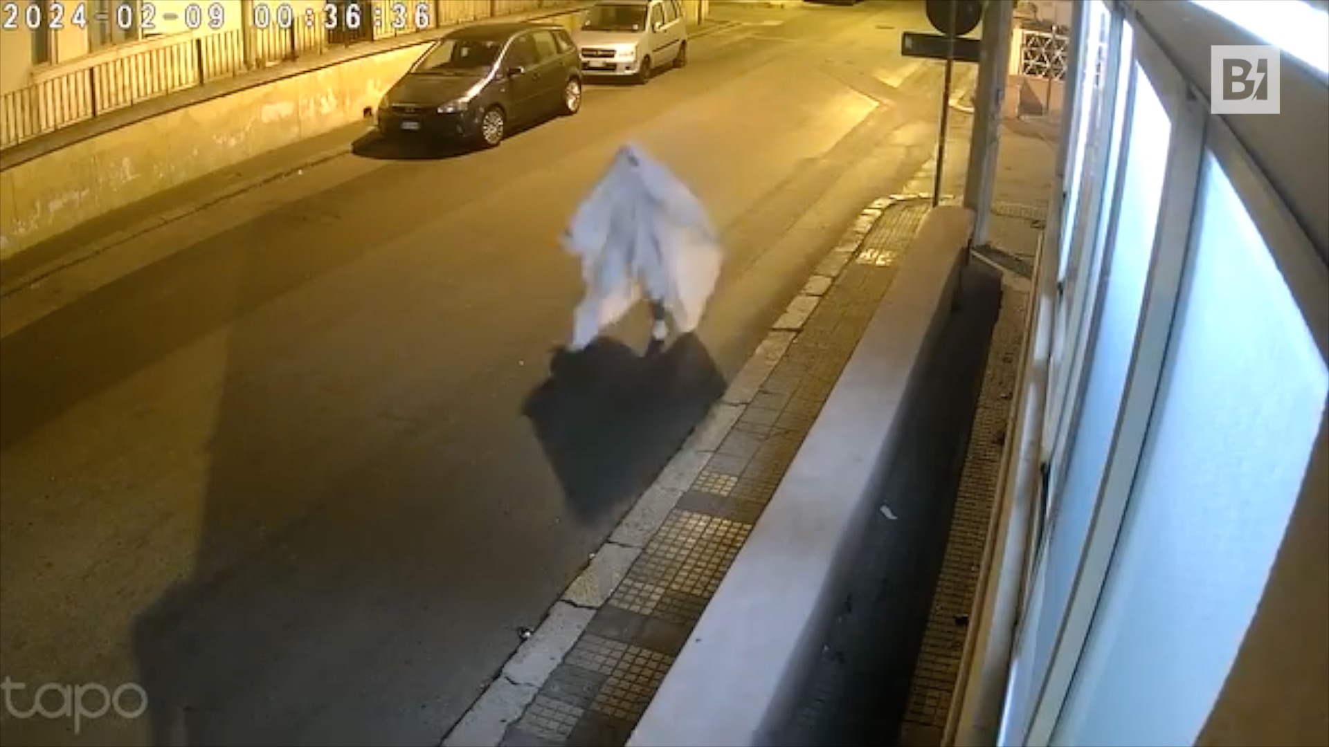 Galípoli, disfrazado de fantasma lanza piedras a una casa…