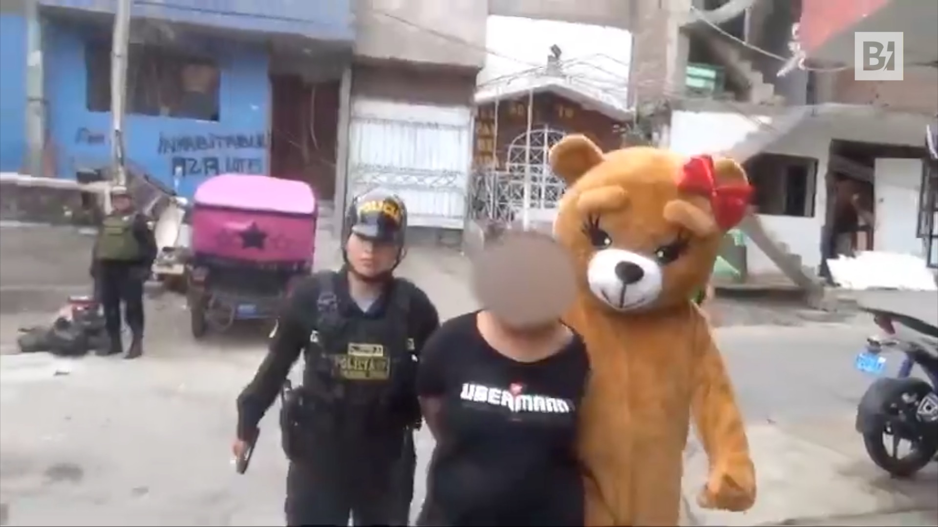 El pretendiente de San Valentín, vestido de oso…
