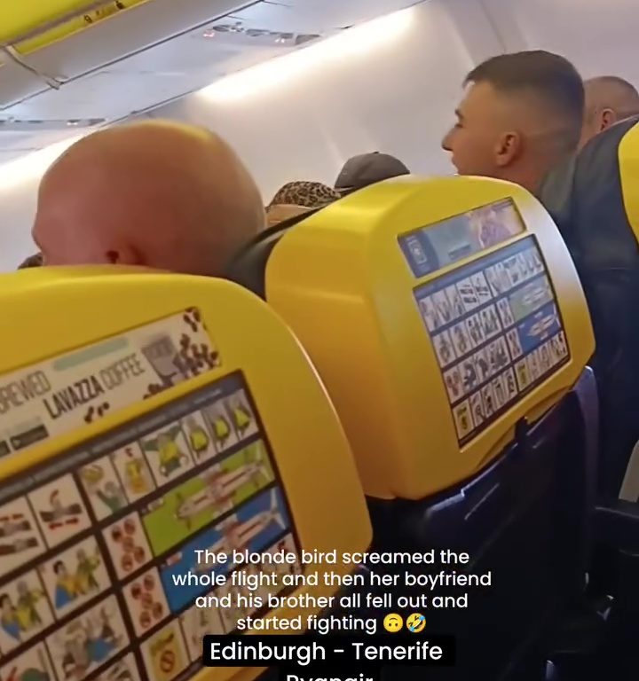 Cabezazos, gritos y puñetazos: la peor pelea en un avión se vuelve viral