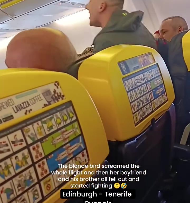 Cabezazos, gritos y puñetazos: la peor pelea en un avión se vuelve viral