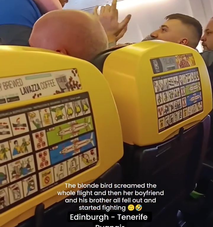 Cabezazos, gritos y puñetazos: la peor pelea en un avión se vuelve viral