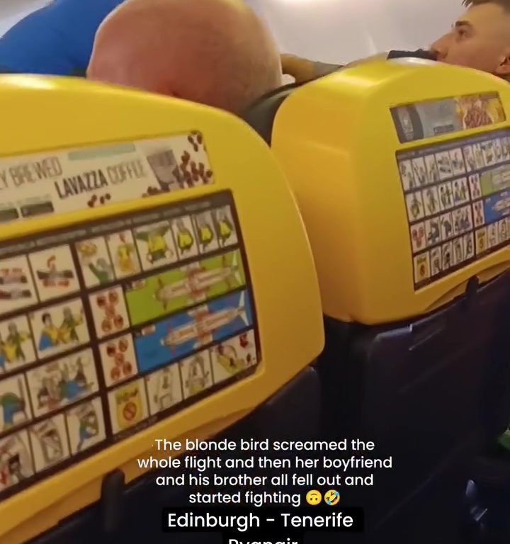 Cabezazos, gritos y puñetazos: la peor pelea en un avión se vuelve viral