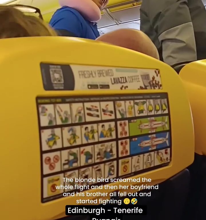 Cabezazos, gritos y puñetazos: la peor pelea en un avión se vuelve viral