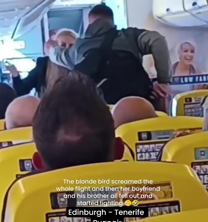 Cabezazos, gritos y puñetazos: la peor pelea en un avión se vuelve viral