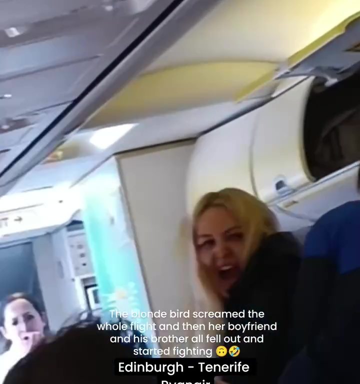 Cabezazos, gritos y puñetazos: la peor pelea en un avión se vuelve viral