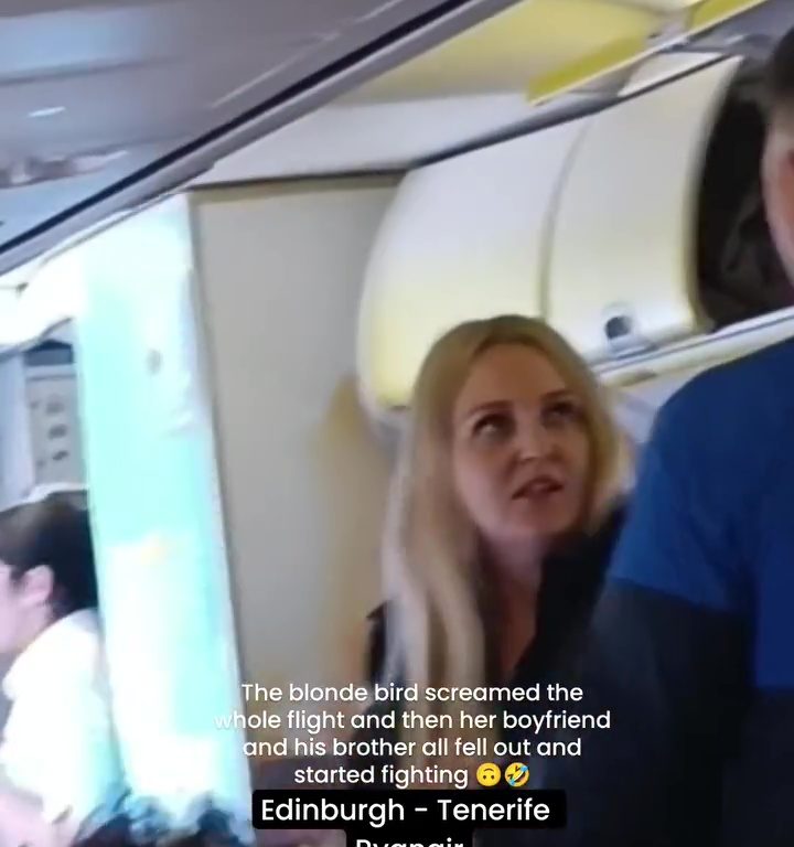 Cabezazos, gritos y puñetazos: la peor pelea en un avión se vuelve viral