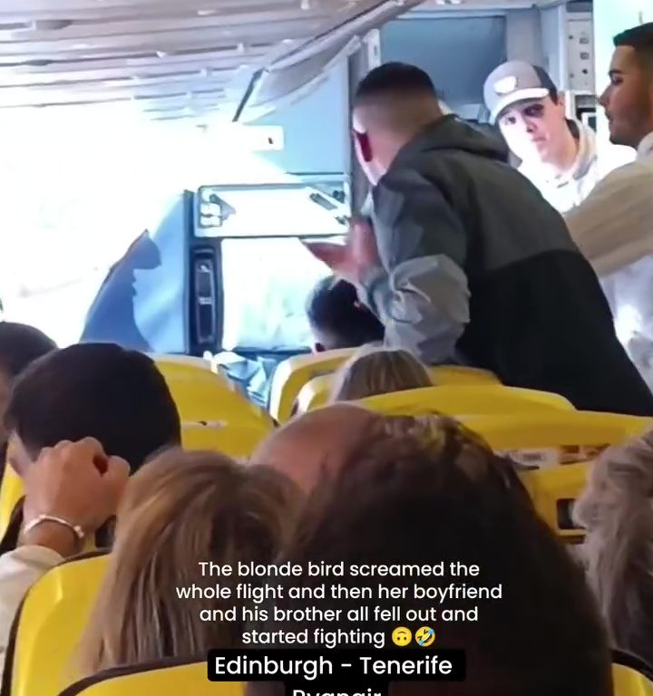 Cabezazos, gritos y puñetazos: la peor pelea en un avión se vuelve viral