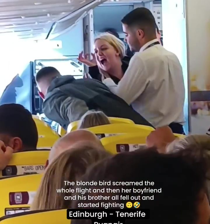 Cabezazos, gritos y puñetazos: la peor pelea en un avión se vuelve viral