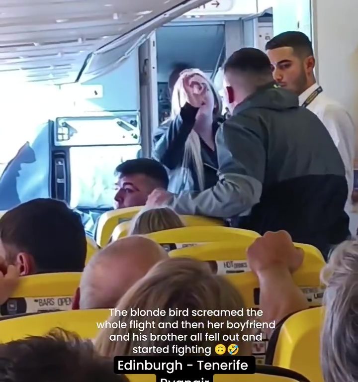 Cabezazos, gritos y puñetazos: la peor pelea en un avión se vuelve viral