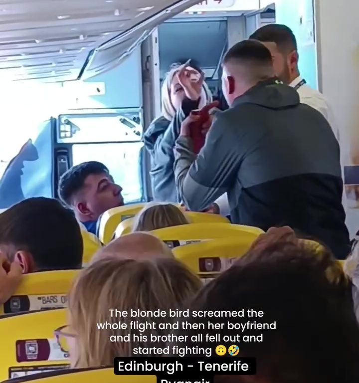 Cabezazos, gritos y puñetazos: la peor pelea en un avión se vuelve viral