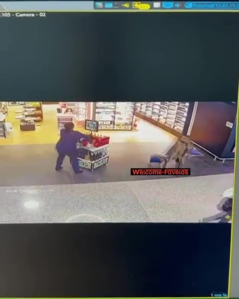 Azafata despedida arrasa duty free: pánico en el aeropuerto, impactante vídeo