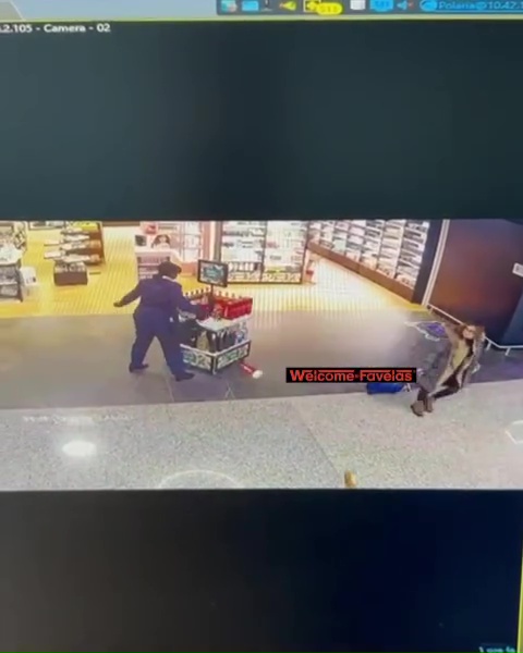 Azafata despedida arrasa duty free: pánico en el aeropuerto, impactante vídeo