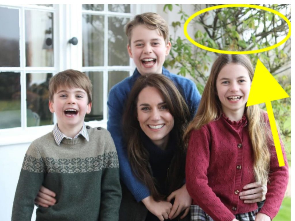 Kate Middleton bittet um Hilfe