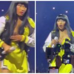 Nicki Minaj strappa il microfono a un fan e le scappa una poppa: delirio al concerto