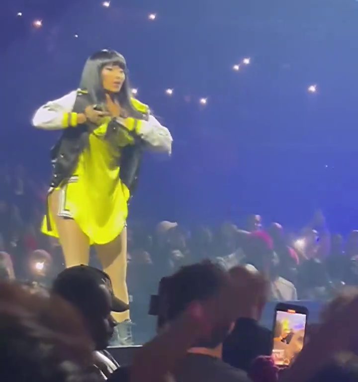 Nicki Minaj strappa il microfono a un fan e le scappa una poppa: delirio al concerto