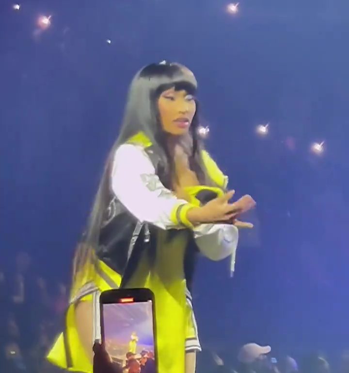 Nicki Minaj strappa il microfono a un fan e le scappa una poppa: delirio al concerto