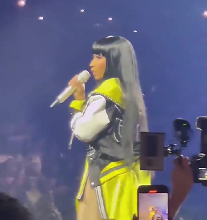 Nicki Minaj le arrebata el micrófono a un fan y jadea: delirio en el concierto