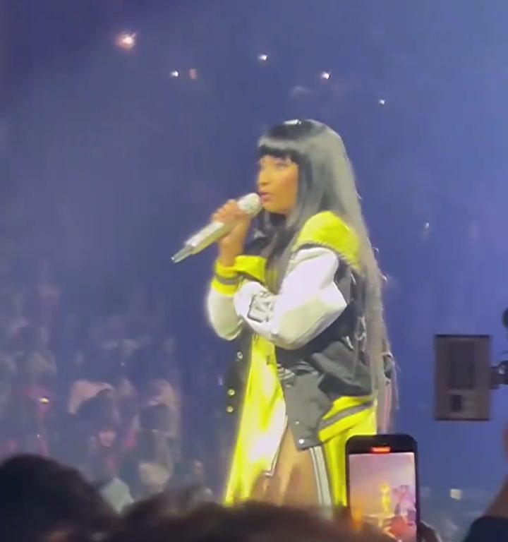 Nicki Minaj strappa il microfono a un fan e le scappa una poppa: delirio al concerto