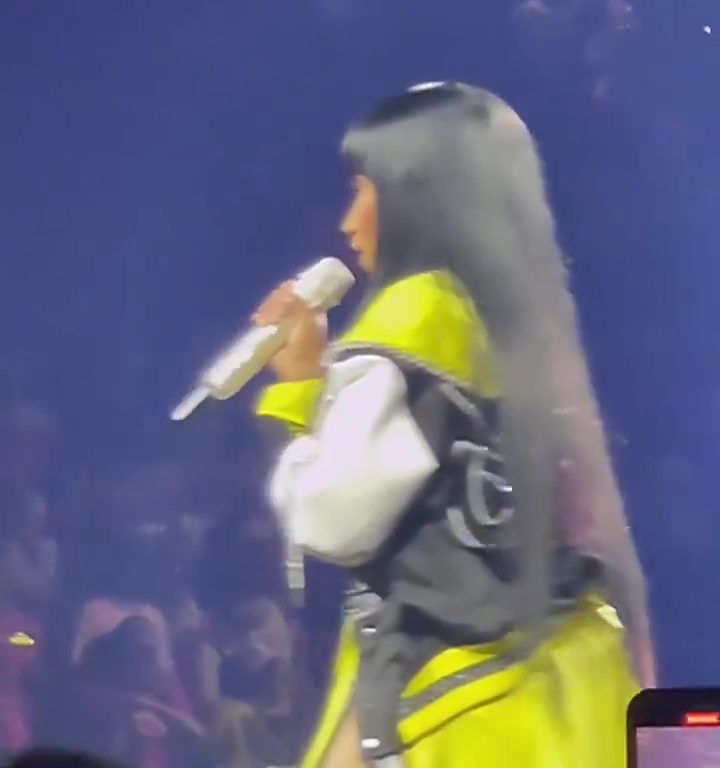 Nicki Minaj strappa il microfono a un fan e le scappa una poppa: delirio al concerto