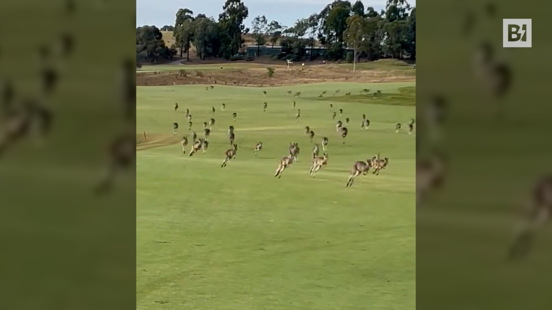 Partita interrotta da un’invasione di campo di massa