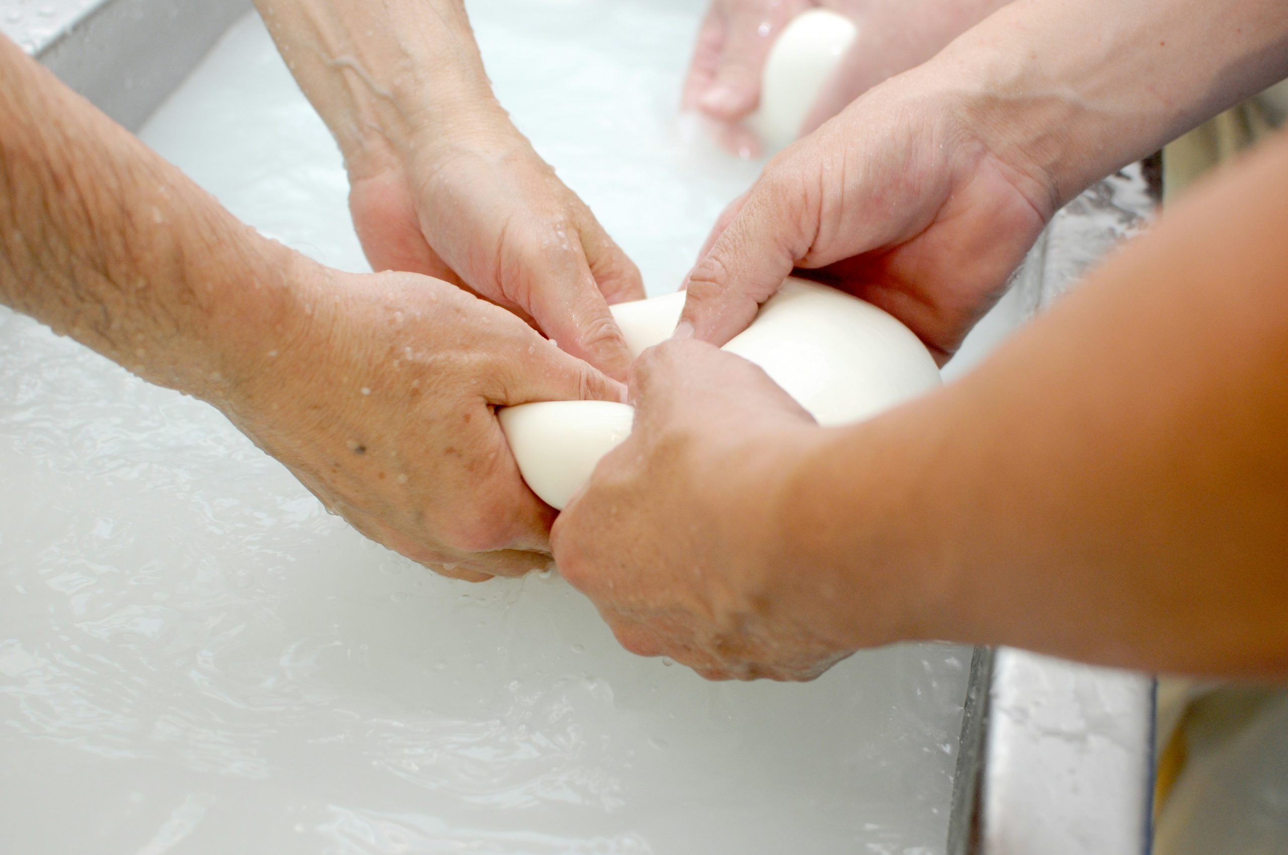 Mozzarella Lidl ritirata dal mercato italiano: rischio per la salute